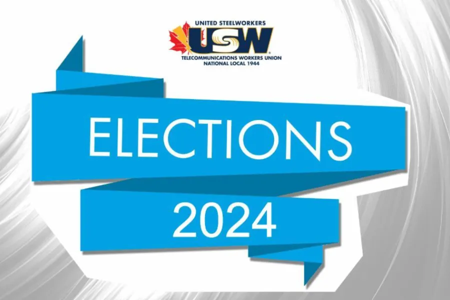 election_2024.jpeg