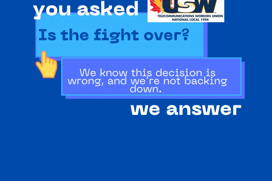 qa_pink_minimalist_instagram_post_2.png